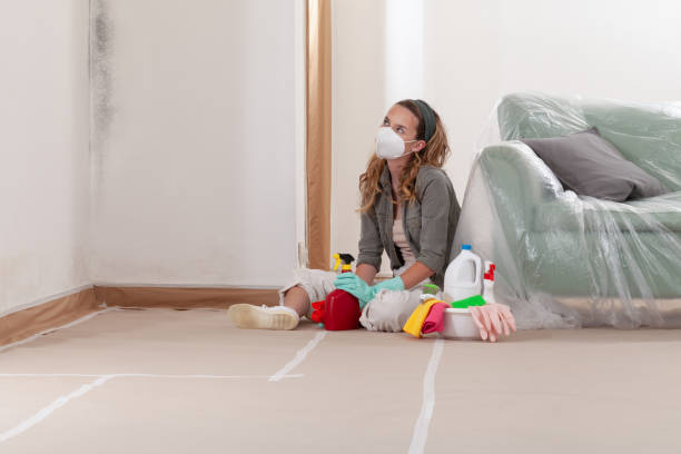 Reliable Commercial Mold Remediation contractor in Middletown, KY by WQB Mold Removal